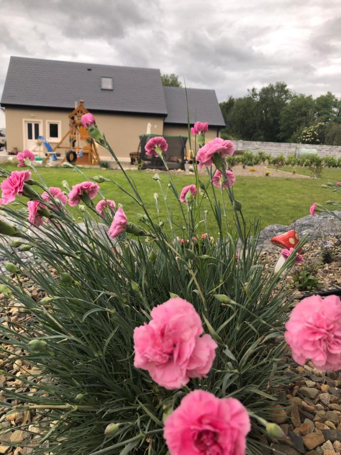 Tir Na Spideoga Villa Ennis Eksteriør billede