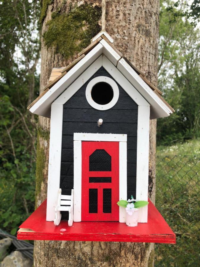 Tir Na Spideoga Villa Ennis Eksteriør billede